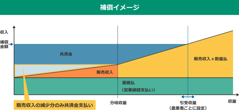 共済金見直し　イラスト