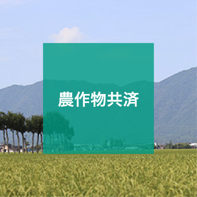 img_icon_service_農作物共済