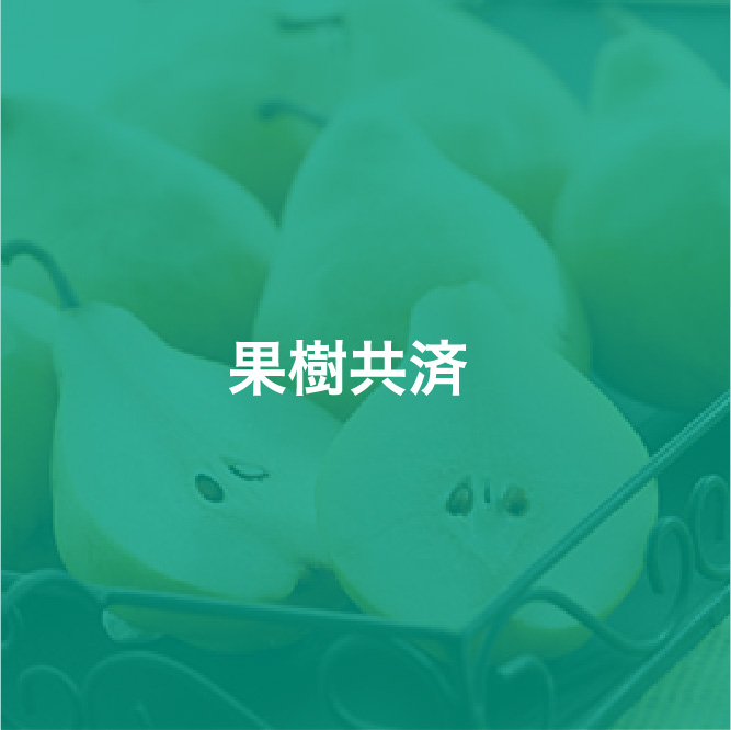 img_icon_service_果樹共済_変化