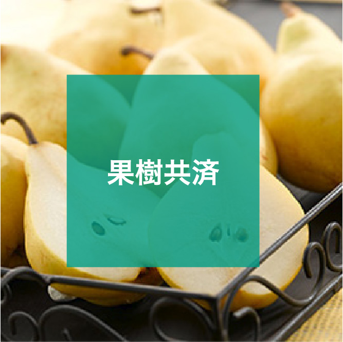 img_icon_service_果樹共済