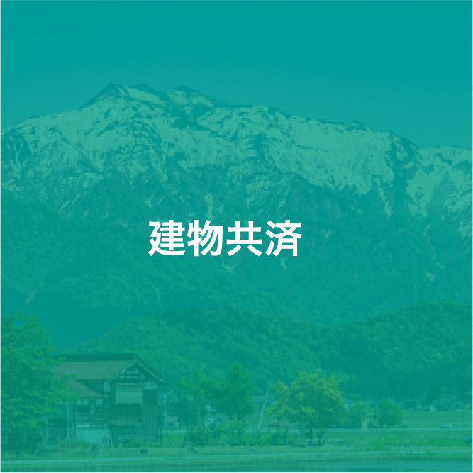 img_icon_service_建物共済_変化