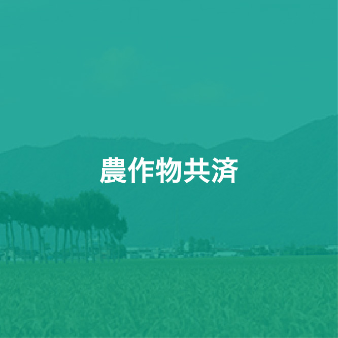 img_icon_service_農作物共済_変化