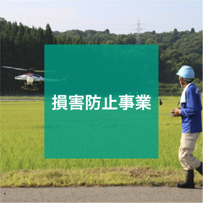 img_icon_service_損害防止事業