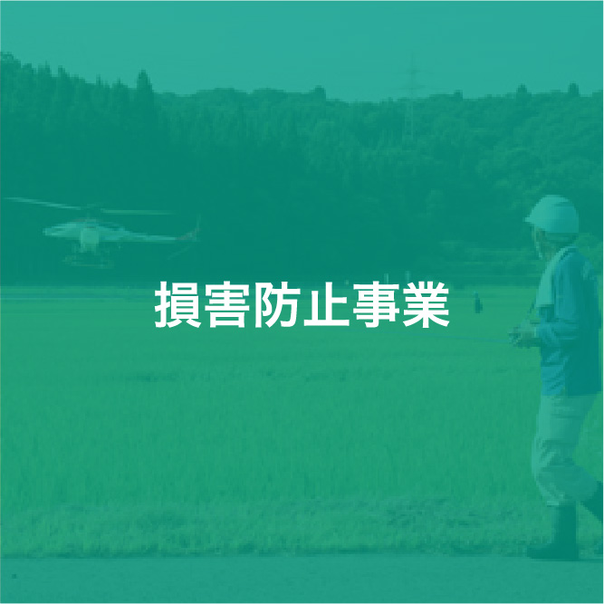 img_icon_service_損害防止事業_変化