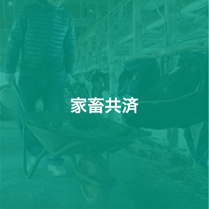 img_icon_service_家畜共済_変化