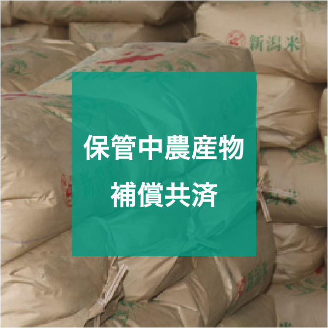 img_icon_service_保管中農産物補償共済