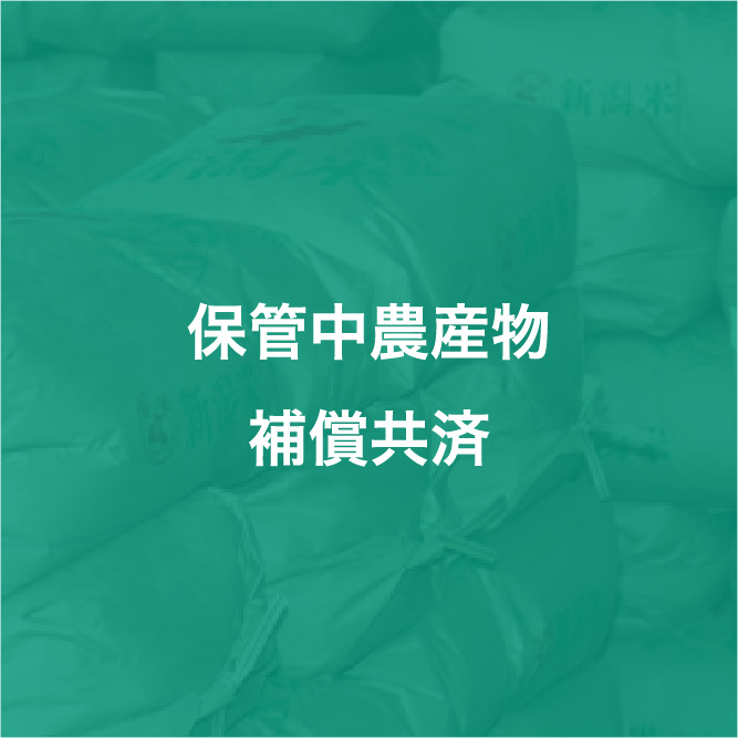 img_icon_service_保管中農産物補償共済_変化