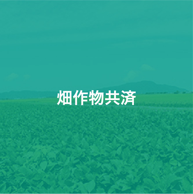 img_icon_service_畑作物共済_変化
