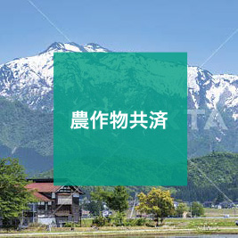 kyosai_01