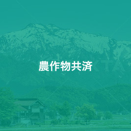 kyosai_01_hover