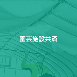 kyosai_05_hover