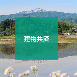kyosai_06