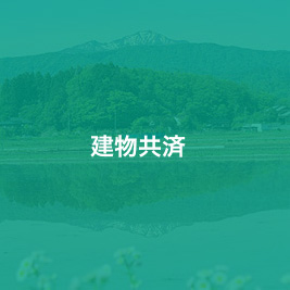 kyosai_06_hover