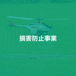 kyosai_08_hover