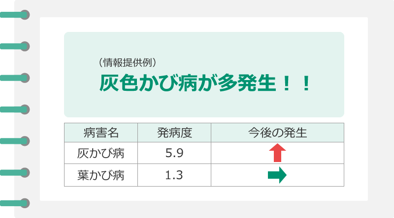 情報提供例