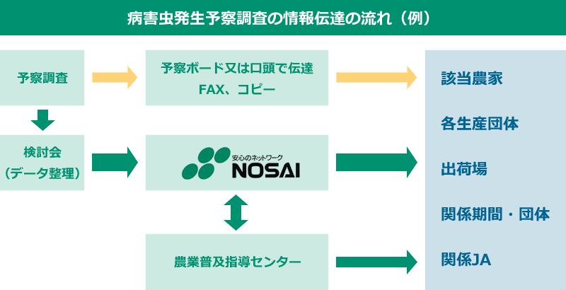 情報伝達の流れ